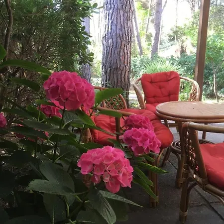 Casa Vacanza Sole & Mare Sorso